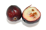 Cranberry